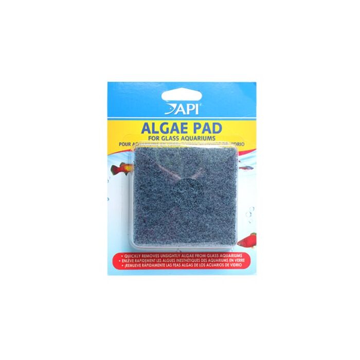 API Algae Pad For Glass