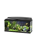 Ciano Aquarium 80 LED - Black (Including CF80 Filter, Heater & LED Lighting) 71 Litre